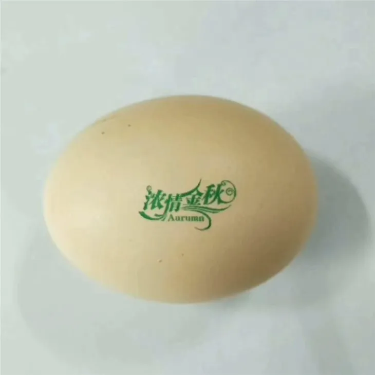 Laser Egg Coding Printer