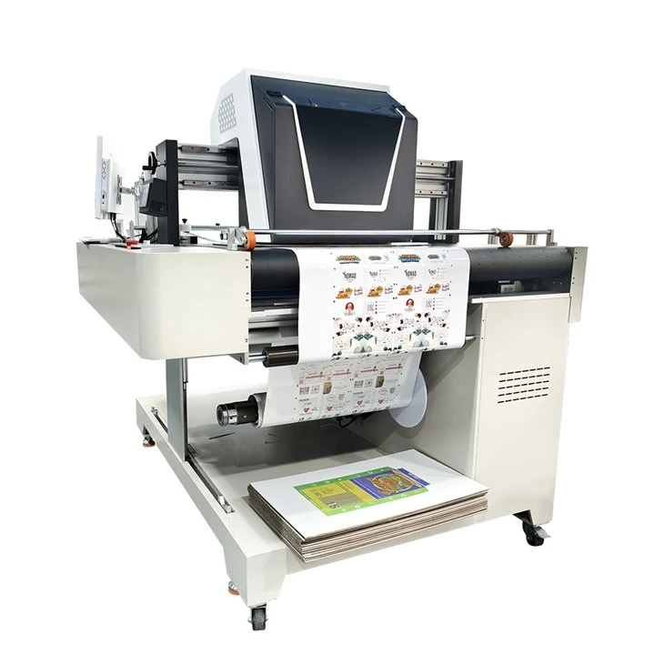Printer Flatbed With Roll To Roll